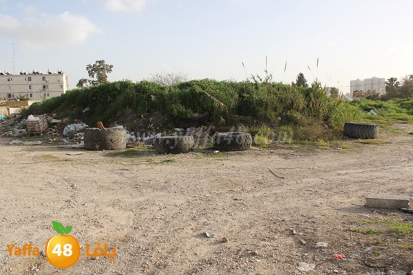 ramla report (11).JPG